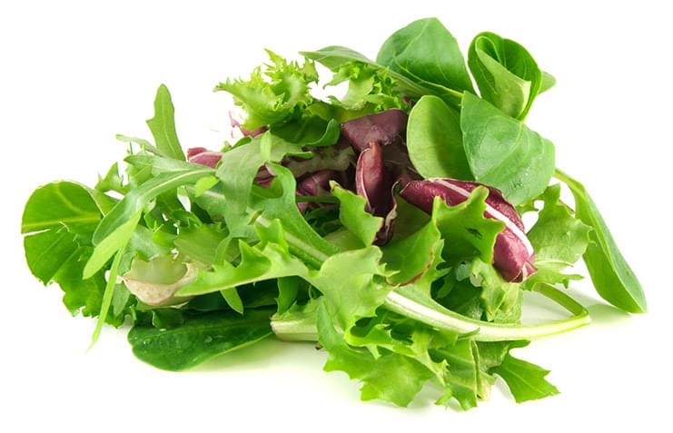 set salad